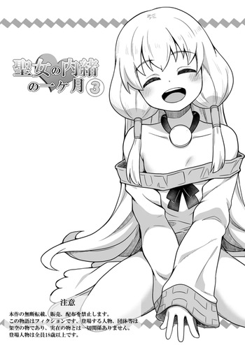 Seijo no Naisho no Ichikagetsu 3 cover