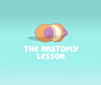 The Anatomy Lesson  CosmosArts cover