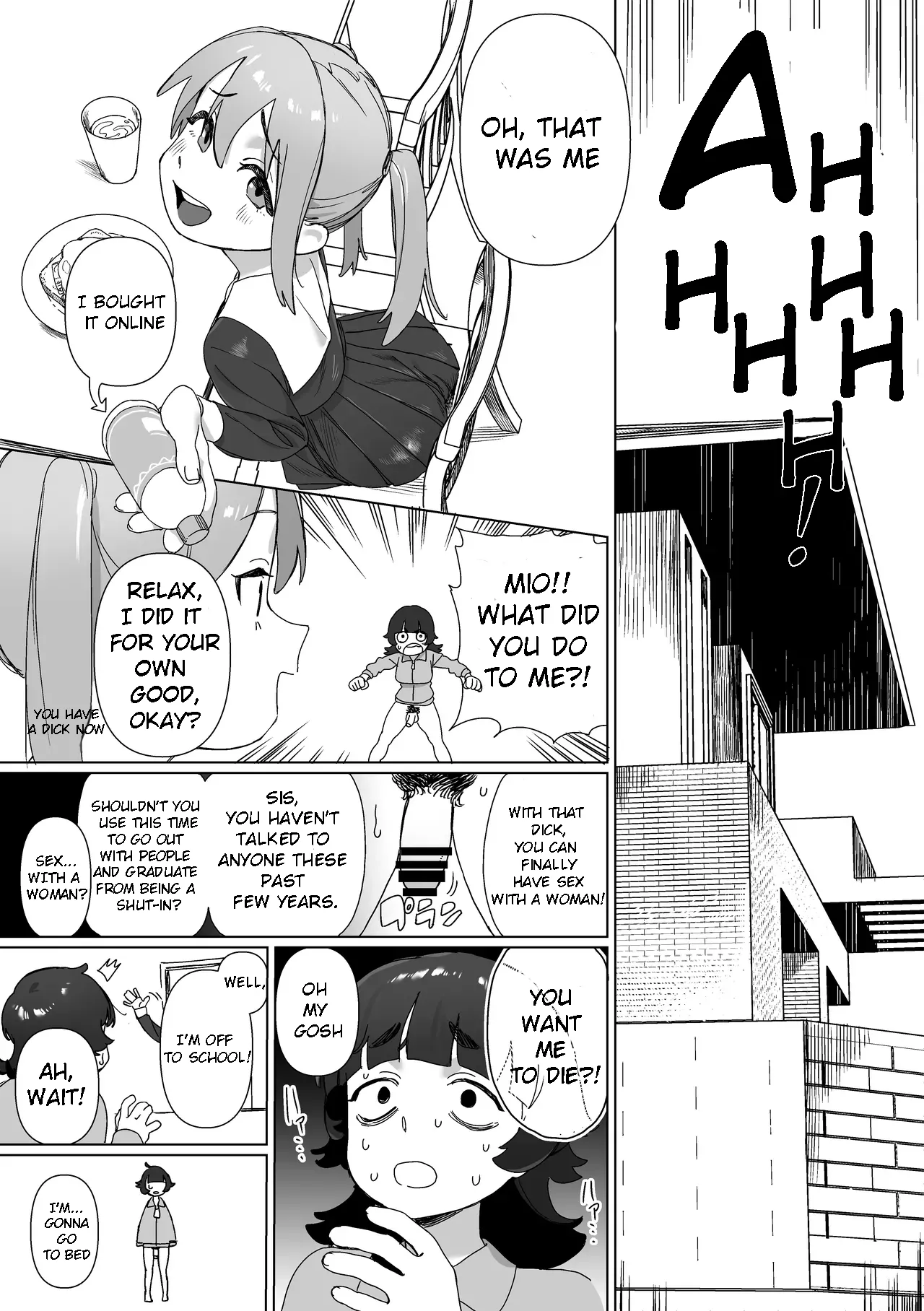Hikikomori no Ane ni Chinchin ga Haetara | What if My Shut-in Sister Grows a Penis? page 4 full