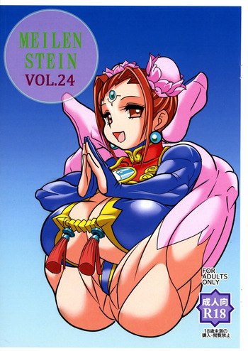 MEILEN STEIN Vol. 24 cover
