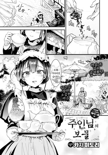 Goshujin-sama no Takaramono | 주인님의 보물 cover