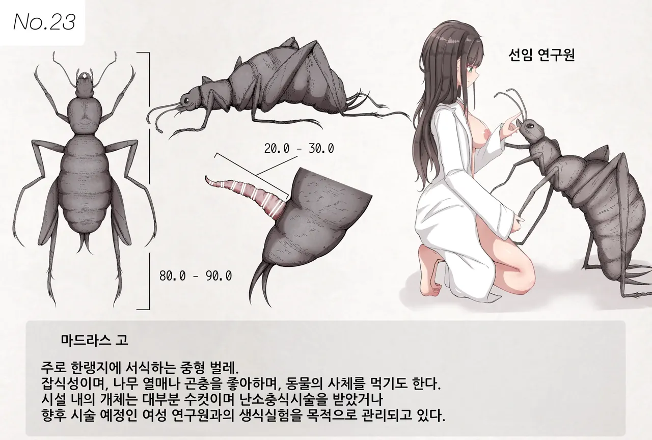 Mushi Research Report No.23 page 1 full