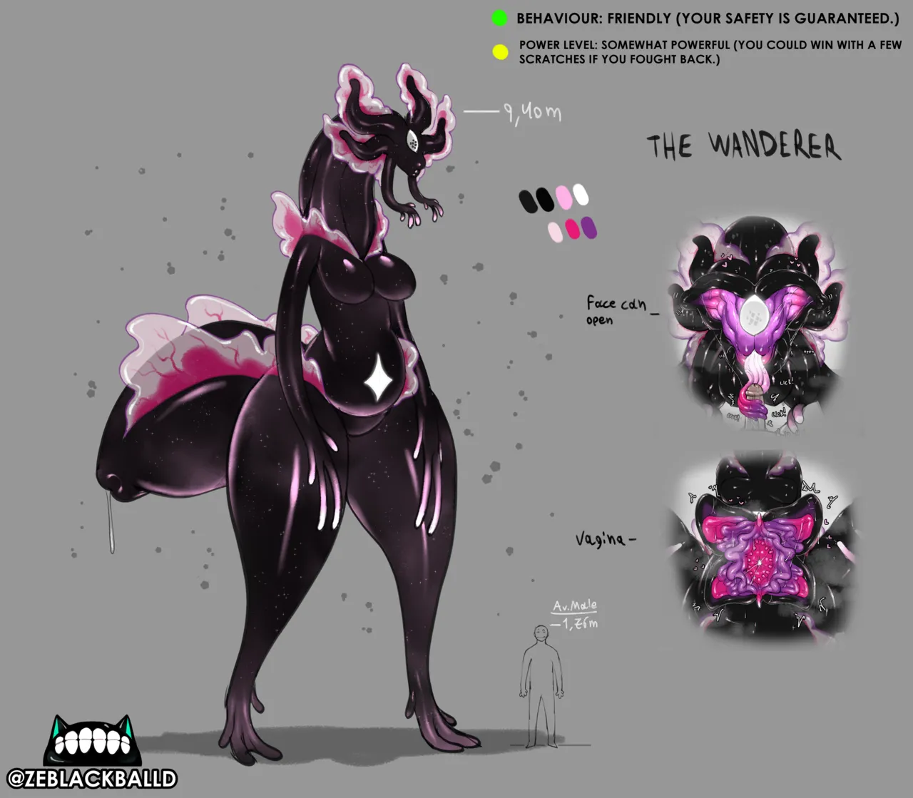 The Wanderer page 1 full