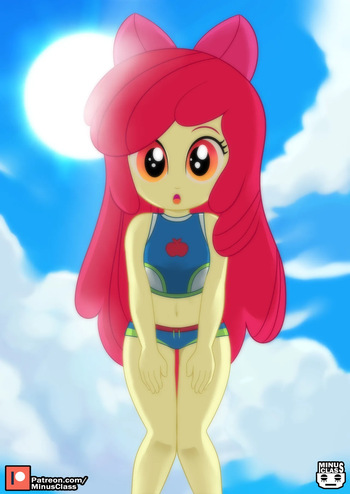 CMC cover