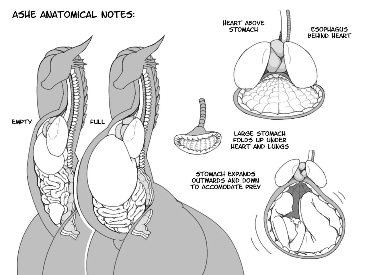 A Day With Ashe + Extras page 2 full