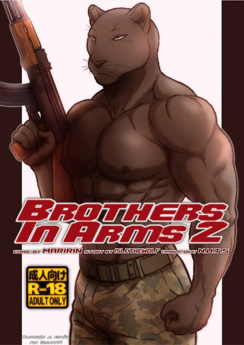 Brothes in Arms 2 cover