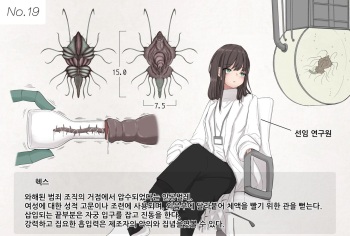 Mushi Research Report No.19 cover