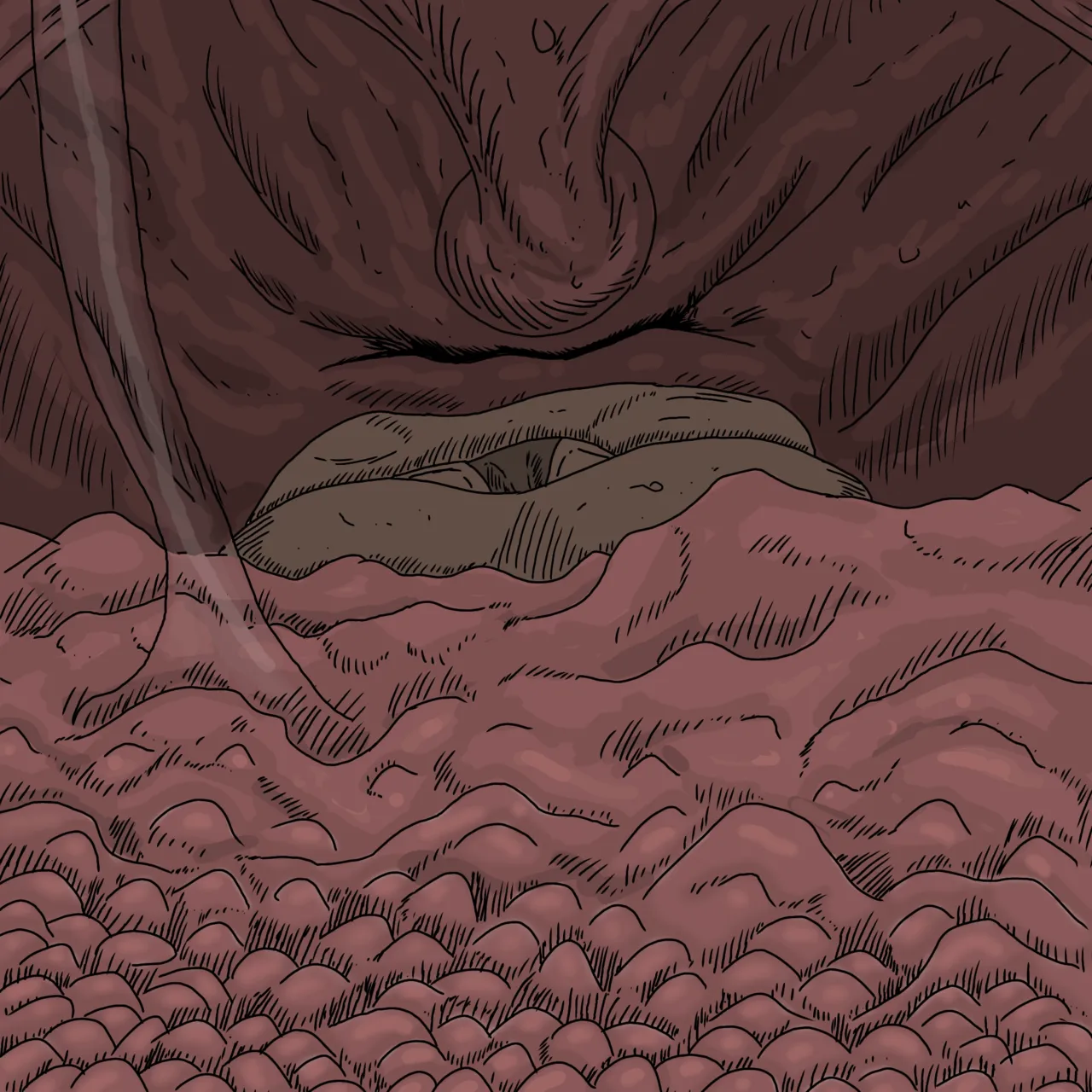 Prey pov page 3 full