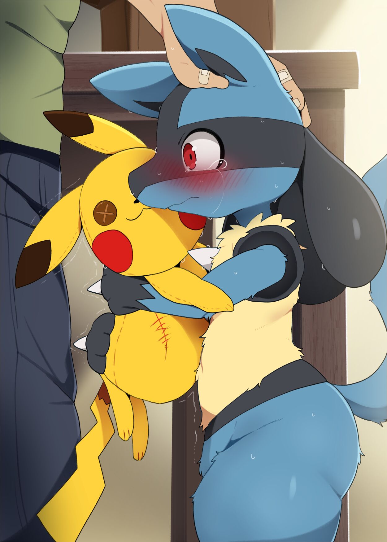 Pokemon - Lucario Set page 3 full