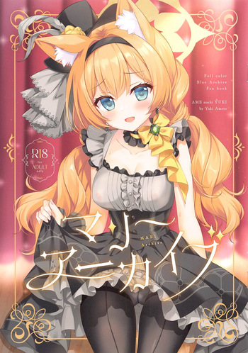 MARI Archive cover