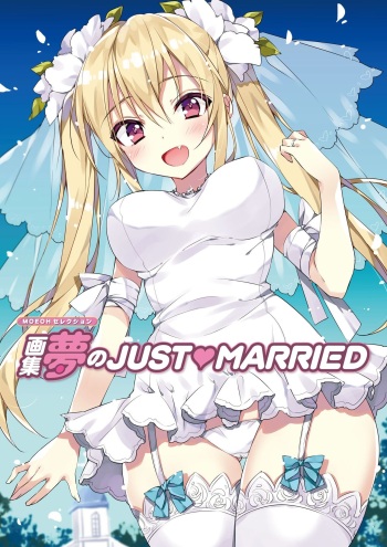 Artbook: Dream of JUST▽MARRIED cover