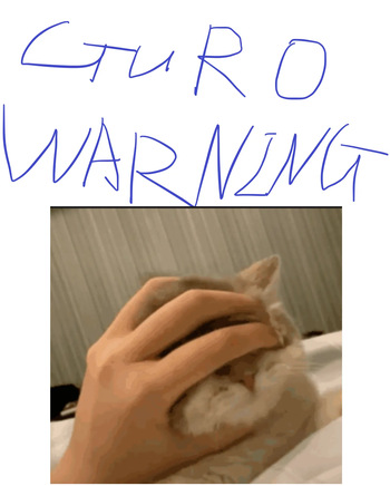 baltimore and bremerton guro cover