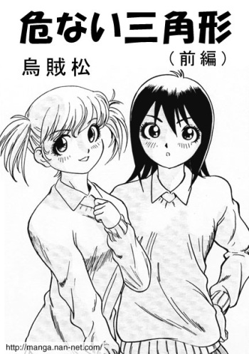 Dangerous Triangle cover