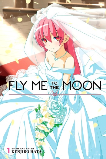 Fly Me To The Moon cover