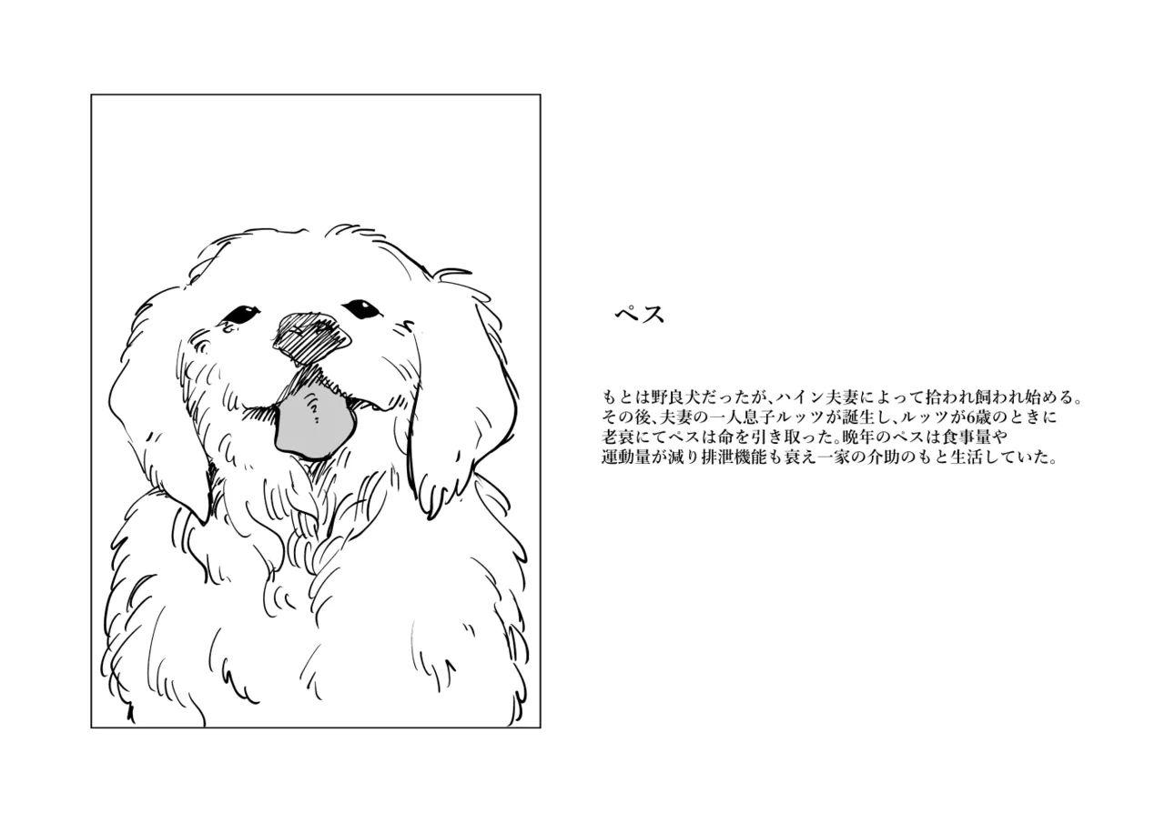 "Senjou ni Chiru" <Rouken Pes> ①+② page 10 full