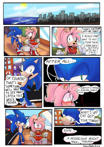 Sonic x Amy cover