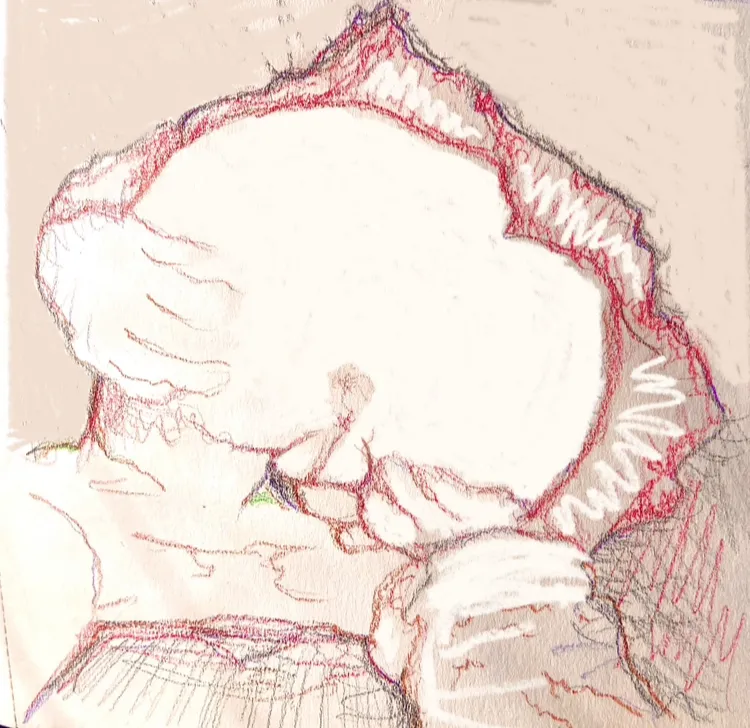 Hand drawn Loli art by Gladrius page 7 full