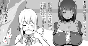 優雅に平然とセックスするむちむちお嬢様（差分） cover