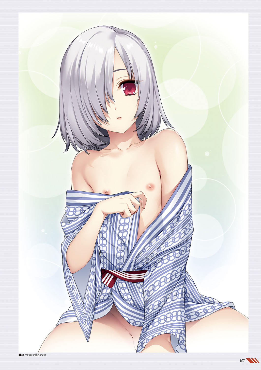 Akeiro Kaikitan &amp; Nanairo Reincarnation Visual Fan Book page 10 full