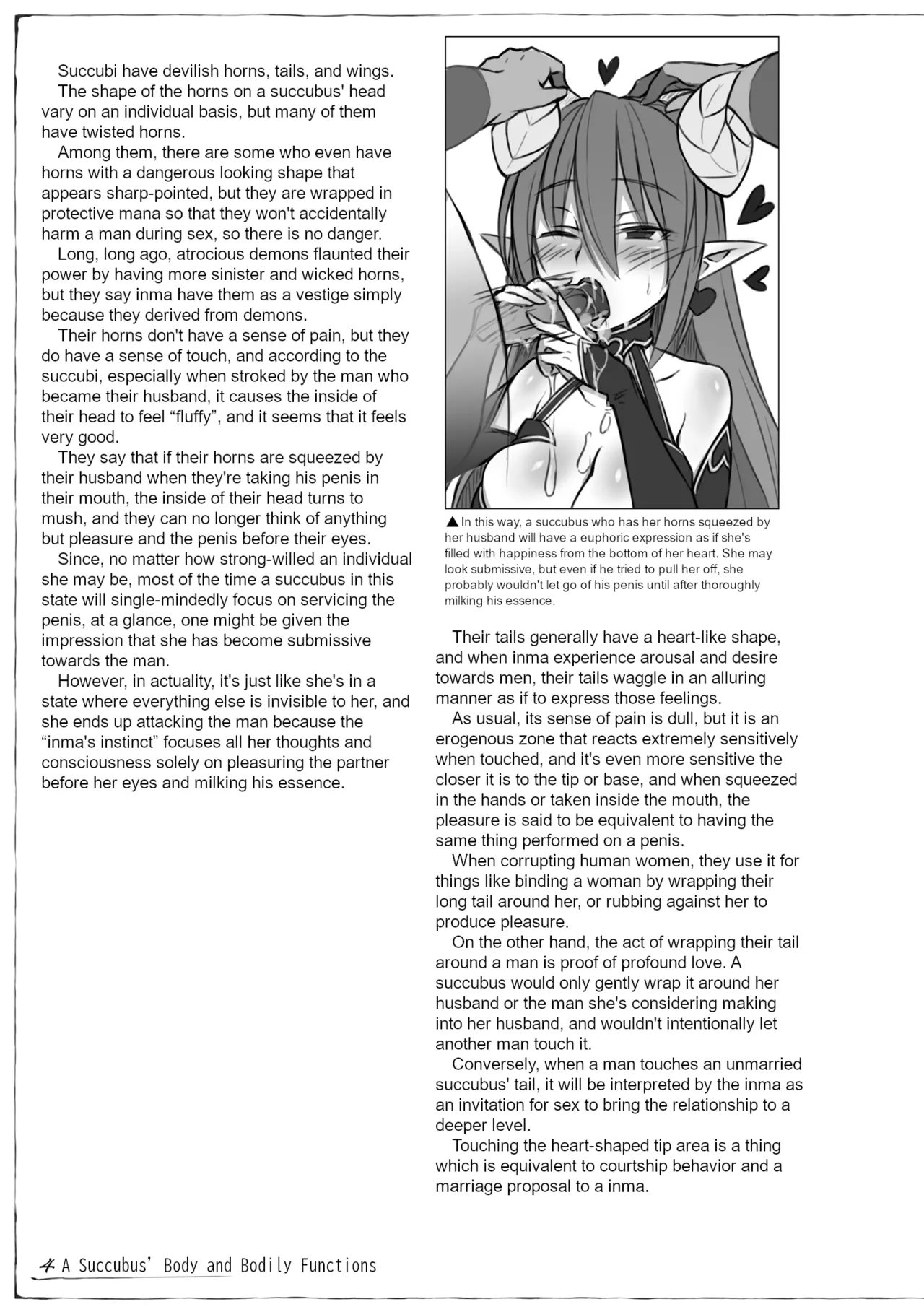 Monster Girl Encyclopedia: Research Records - Succubus Notebook page 5 full