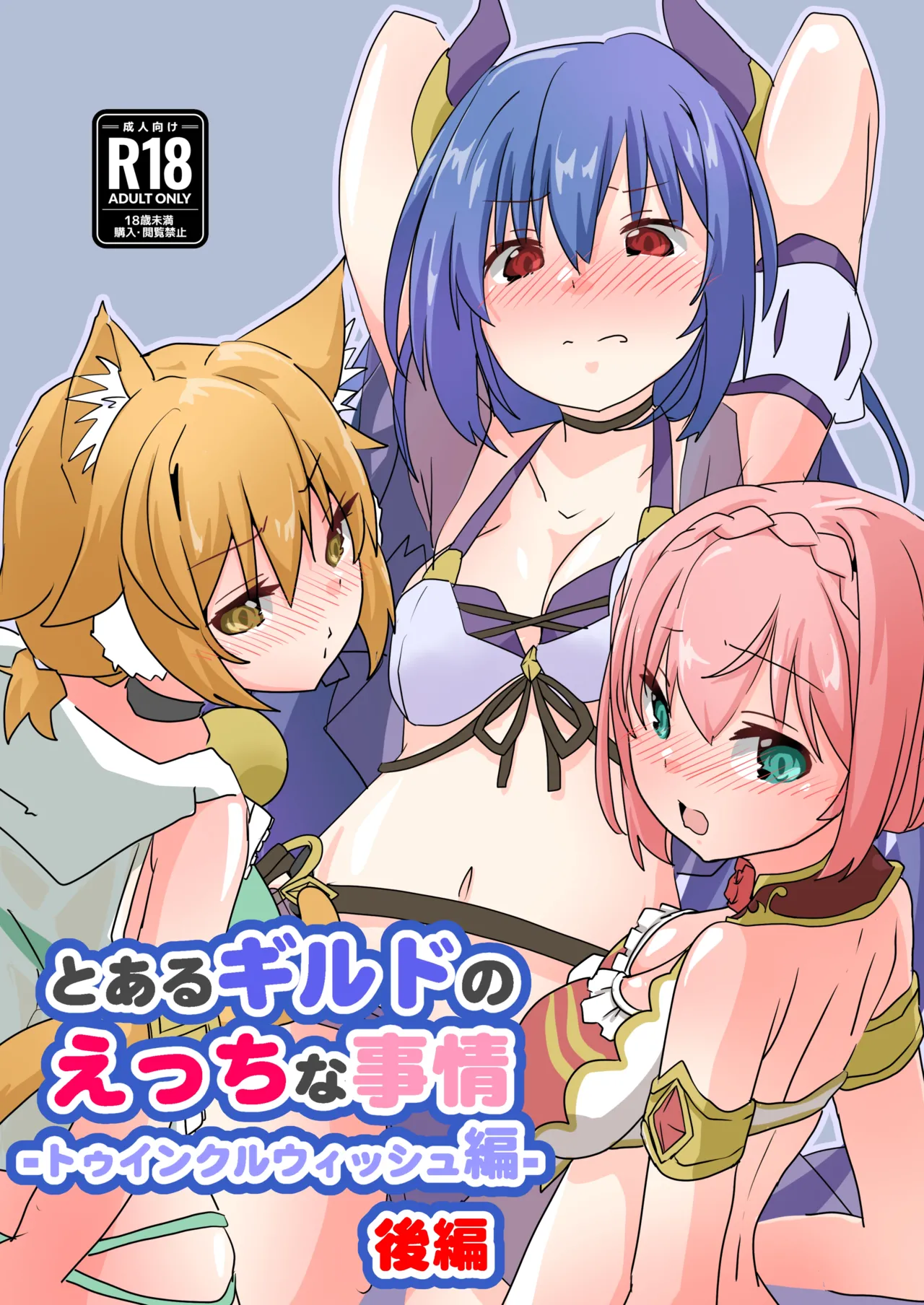 Toaru Guild no Ecchi na Jijou - Twinkle Wish-hen - Kouhen page 1 full