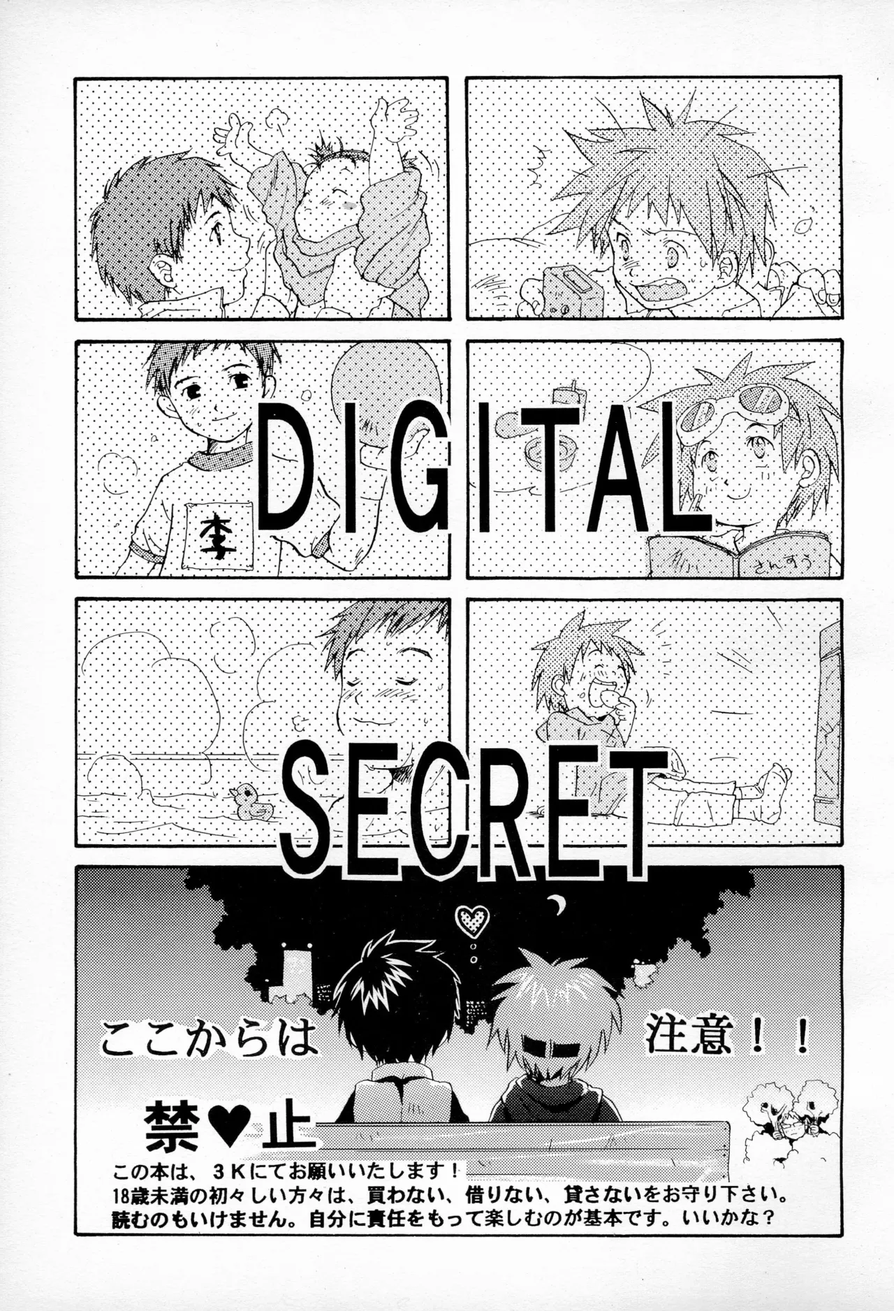 DIGITAL SECRET page 3 full