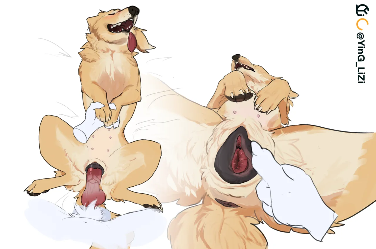 Female Feral Animals - Would you like a cookie? page 3 full