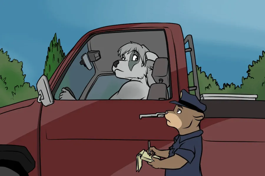 Pulled Over &amp; Stream Cam page 2 full