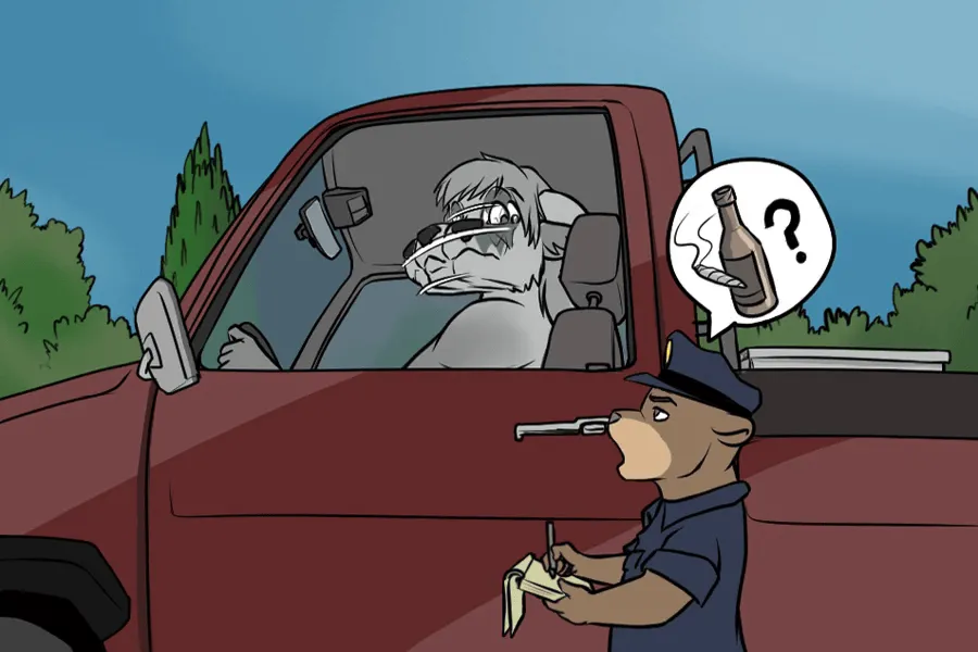 Pulled Over &amp; Stream Cam page 3 full