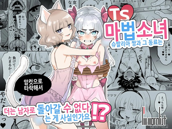 TS Mahou Shoujo Chevalier-chan to Sono Nakama wa Mesu ni Otosarete Mou Otoko ni Modorenai tte Maji desu ka!? | TS 마법소녀 슈발리아 짱과 그 동료는 암컷으로 타락해서 더는 남자로 돌아갈 수 없는 게 사실인가요!? cover