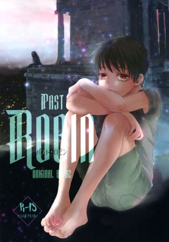 PAST ROBIN cover