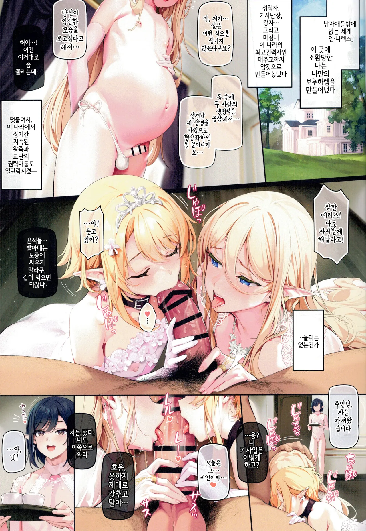 Isekai Otokonoko Kan Ochi Yinkon Harem - Kyokon Ni Ochi Ta Mesu Danshi, Zen In Goshujin Sama  No Hanayome page 2 full