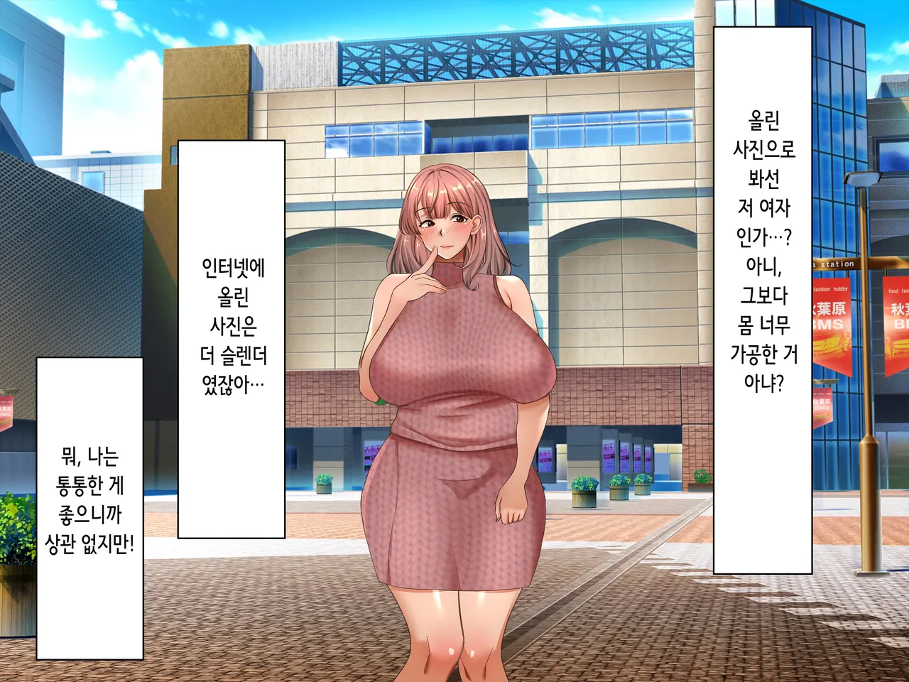 Net de Ikitteta Papakatsu Onna o Onaho ni Shita Ken | 인터넷으로 나대던 파파카츠녀를 오나홀로 삼은 건 page 9 full