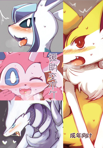 Enjyo koupoke cover