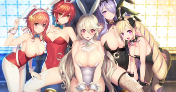 FE Fates Bunny EX cover