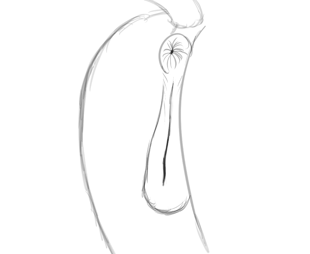 Horsepussy Mare Vulvar Winking page 6 full