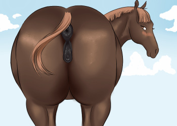 Horsepussy Mare Vulvar Winking cover