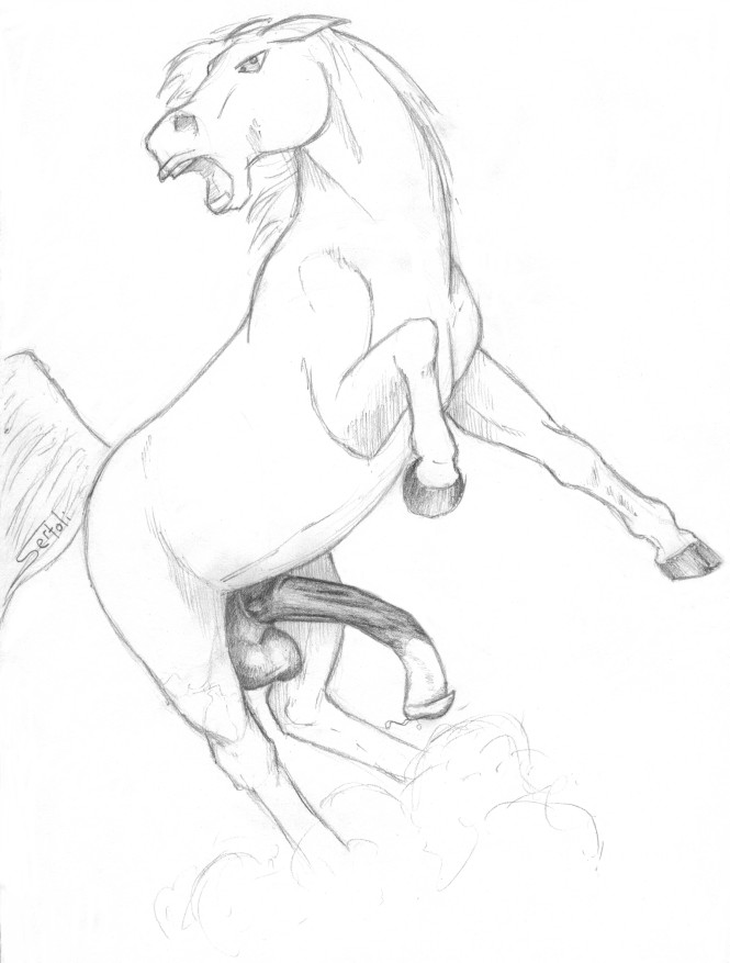 Sertoli - mostly equine page 2 full