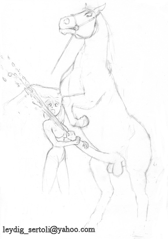 Sertoli - mostly equine page 6 full