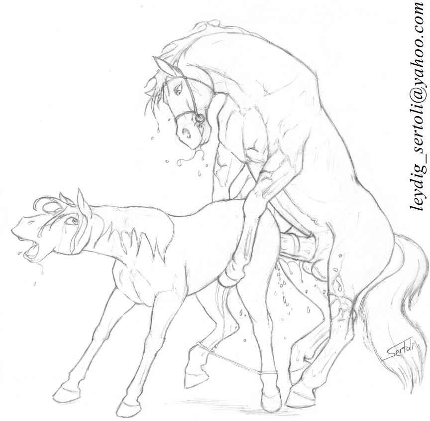 Sertoli - mostly equine page 7 full