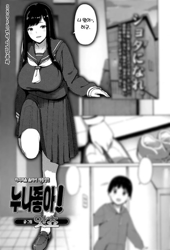 Ane Suki! | 누나 좋아! cover
