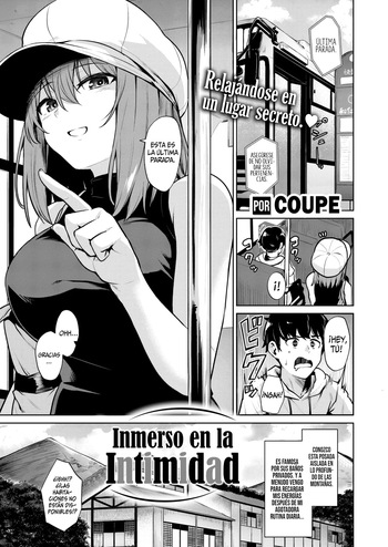 Shinmitsu || Inmerso en la Intimidad cover