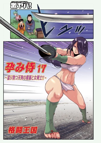 Harami samurai 17 cover