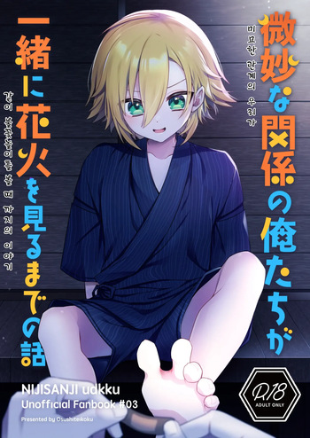 Bimyouna Kankei no Oretachi ga Issho ni Hanabi o Miru Made no Hanashi cover