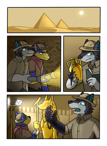 Archeologists cover