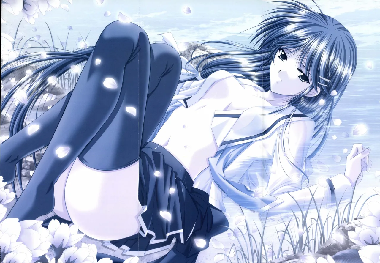 IZUMO 2 Visual Fan Book page 2 full