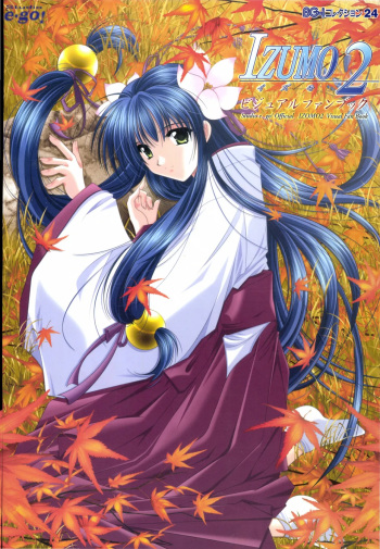 IZUMO 2 Visual Fan Book cover