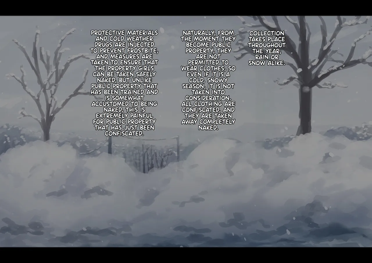 Public property Sex Slave Girl - Ex - Collection in the Snow page 4 full