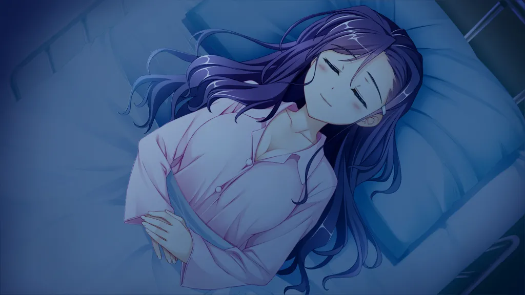 C88 Puchi Fandisc page 4 full