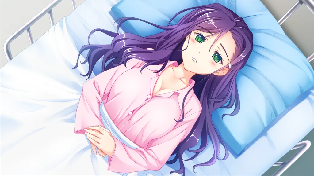 C88 Puchi Fandisc page 5 full